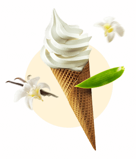 icecream type