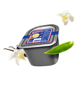 icecream type