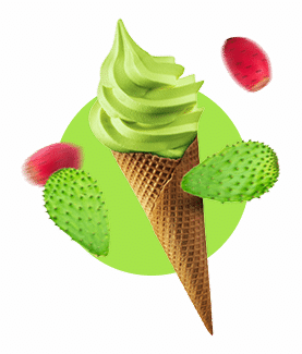 icecream type
