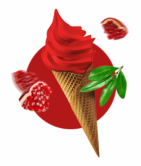 icecream type