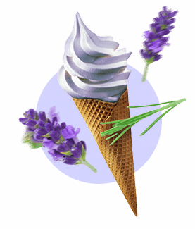 icecream type