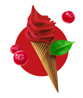 icecream type