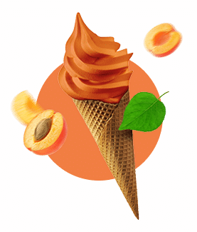 icecream type