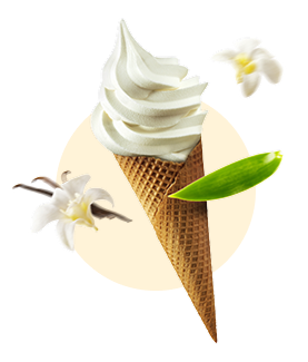 icecream type