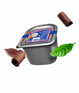 icecream type